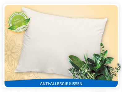 Anti Allergie Kissen